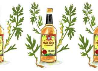 Exploring the Contrasting Flavors of Chicago: The Revered, the Reviled, and the Taste of Rubber Bands news-01102024-041453