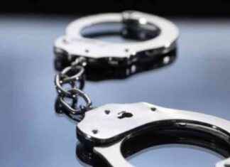 Police: Man Attacks 72-Year-Old at Miami Beach Bus Stop for ‘Looking Weird’ news-01102024-042332