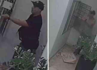 Man Arrested in Miami Beach Mail Thefts Linked to Drug Search news-01102024-042536