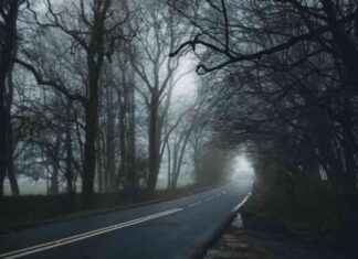 Most Haunted Road in San Diego: A Spooky Guide to the Creepiest Street in America news-04102024-222135