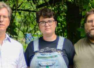 Universal Light: Three String Players Embrace Spontaneity, Acoustic Resonance, and American Folk news-07102024-145013