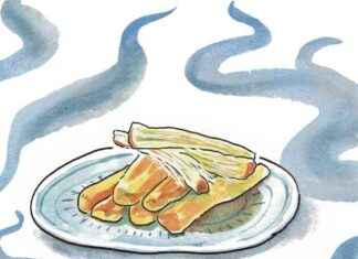 Delicious Smoked String Cheese from Chicago’s Cheese People – Reader Bites news-09102024-011951