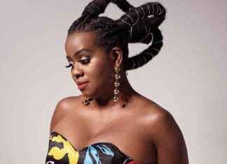 Somi: Champaign-Born Phenom Blends African Heritage in Vocal Jazz – Chicago Reader news-09102024-132335