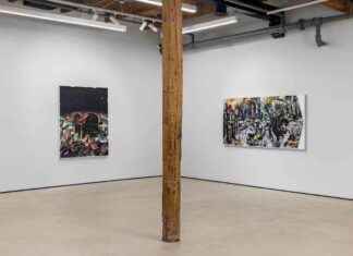 Embracing Wildness: A Guide to Chicago’s Natural Spaces news-09102024-152414