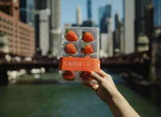 Oishii: Japanese Tradition Meets Technology for Sweetest Strawberries in Chicago news-09102024-192605