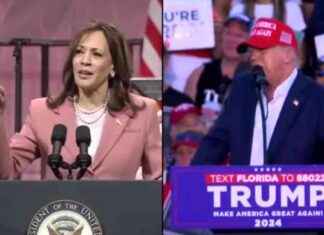 Trump and Harris Shift Campaign Focus Amid Hurricane – WSVN 7News | Miami News news-09102024-215733
