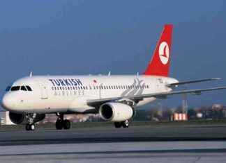 Pilot Dies Aboard Turkish Airlines Flight, Emergency Landing in New York – WSVN 7News news-09102024-230545