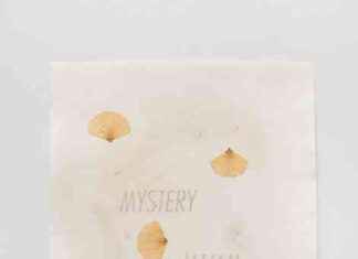 The Top Reasons Why A Solo Show that Falls Flat Disappoints – Chicago Reader news-10102024-115734