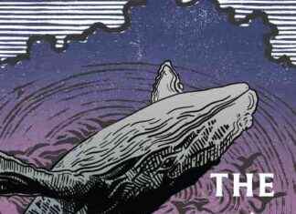 Breaking Down Artificial Barriers: A Conversation with Eiren Caffall news-10102024-160414