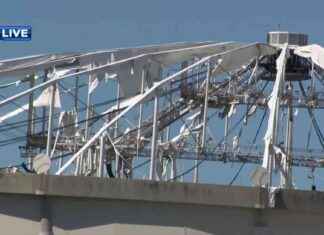 Hurricane Milton Causes Severe Damage to Tropicana Field: Latest Sports Venue Hit by Weather – WSVN 7News news-10102024-195716