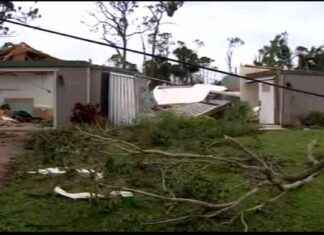 Hurricane Milton’s Destructive Tornado Outbreak – WSVN 7News Miami Fort Lauderdale news-11102024-004941