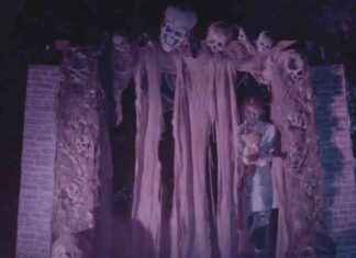 Celebrate Spooky Season at The Haunt in Davie – WSVN 7News | Miami News, Weather, Sports | Fort Lauderdale news-11102024-035134