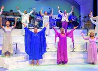 Soulful Chicago: Embracing the Whiter Shade for a Vibrant City news-11102024-041946