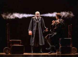 Stage Magic Abounds in Harry Potter and the Cursed Child – Chicago Reader Review news-11102024-082158