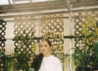 Exploring the Dark Side of Chicago’s Rose Industry news-11102024-122308