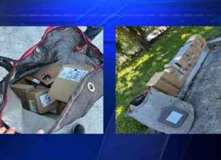 UPS Employee Arrested for Stealing $67k in Electronics – Broward County News news-11102024-192001
