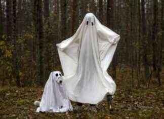 Top Halloween Costume Trends in Your Area: Insights from Google’s Frightgeist news-12102024-031443