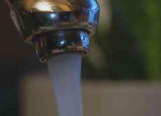Identifying Lead Pipes in St. Louis: How You Can Help and Why It Matters news-12102024-041258