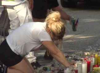 Fans Mourn Loss of Reggaeton Star El Taiger Amid Search for Suspect – WSVN 7News | Miami News, Weather, Sports | Fort Lauderdale news-12102024-103634