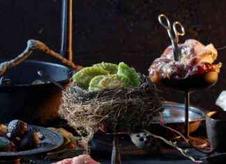 Exploring the Unusual Flavors of Deep Cut Pierogi at Monday Night Foodball – Chicago Reader news-12102024-110231