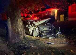 Man Arrested in St. Louis Carjacking Case Crashes Police Car into Tree news-13102024-003954