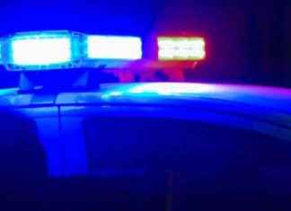 Tragic Accident: Bicyclist Fatally Crashes in Del Mar news-13102024-024525