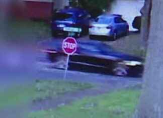 Fatal Hit-and-Run in Florissant: Pedestrian and Dog Killed, Suspect Wanted news-13102024-044125