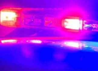 House fire in Lemon Grove displaces family of six and 10 dogs: How to Support Victims and Prevent Future Incidents news-13102024-074904