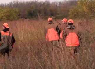 Minnesota Pheasant Hunting Season Opener: Walz’s Tall Grass Tramp Without Bagging Birds news-13102024-090047