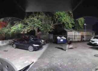 Search underway for gunman following shooting in Miami; 1 dead, 1 critical – WSVN 7News news-13102024-100114