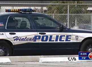 Fatal Hit-and-Run: 2 Pedestrians Killed by SUV in Hialeah – WSVN 7News news-14102024-055159