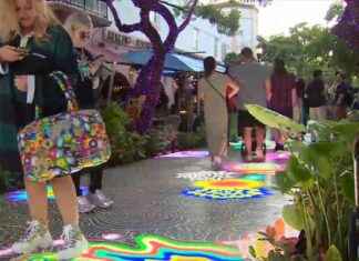 Adobe’s Projected Art Display Lights Up South Beach Walkway – WSVN 7News Miami news-15102024-064014