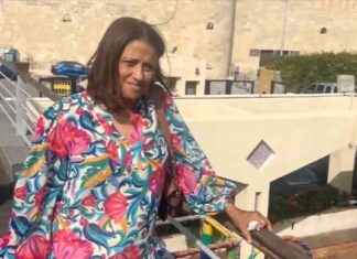 Fatal Hit-and-Run near Miami Beach Police Station: Internal Report on Terminated Officer – WSVN 7News | Miami News news-15102024-125614