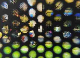 Exploring Red Line Service Artists in Chicago – Chicago Reader Feature news-15102024-182854