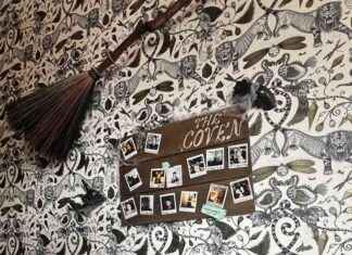 Discover the Magic of Loaves & Witches – Chicago’s Kitchen Witches news-18102024-070645