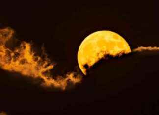 Supermoon Photos: Brightest Lunar Event in San Diego County news-18102024-080640