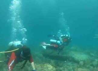 Empowering People with Disabilities Through Scuba Diving – WSVN 7News Miami news-18102024-111317
