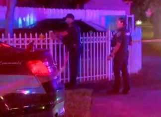 Police Officer Injured in Dog Attack Incident in Lauderhill, Florida – WSVN 7News news-19102024-083954