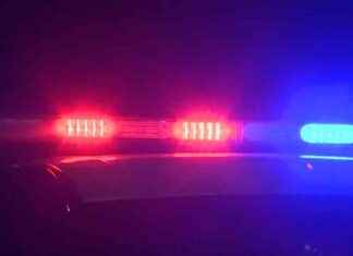 Tragic Incident: 7 Dead in Ferry Dock Gangway Collapse on Georgia’s Sapelo Island news-20102024-041743