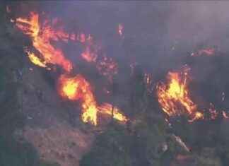 Oakland Firefighters Fight ‘Diablo Wind’ to Save Homes | WSVN 7News Miami news-20102024-071944