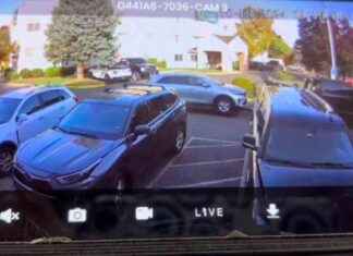 Teenager found asleep in car that was towed in Denver area – WSVN 7News | Miami News, Weather, Sports | Fort Lauderdale news-20102024-092108