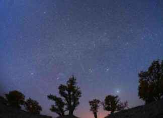 How to Watch the Orionid Meteor Shower Peak Tonight news-21102024-173224