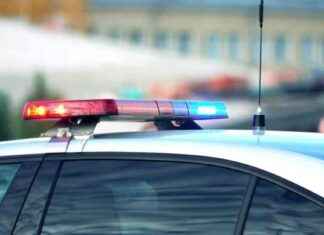 Suspect Arrested Following Police Chase on Coronado Bridge news-22102024-052056