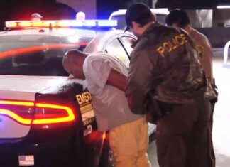 Man Arrested for Attempted Car Theft in SW Miami-Dade – WSVN 7News | Miami News news-22102024-160323