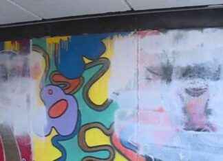 Probation for Man Who Defaced Black History Mural at WashU news-23102024-000531