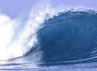 Tragic Accident: Surfer Fatally Struck and Impaled by Swordfish news-23102024-055433