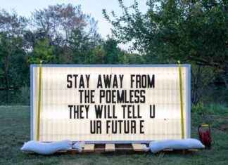 Flower Delivery in Chicago: A Guide for Chicago Reader Community news-23102024-103141