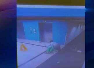 Doctor Stalked and Body Slammed by Teen Attacker at Mount Sinai – Shocking Video Footage (80 characters) news-24102024-080843