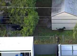 Search for Two Men Who Abandoned Stolen Lamborghini in Pembroke Park – WSVN 7News news-24102024-101702