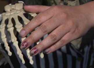 Get Spooky Nails at Oh My Gel: Top Halloween Nail Art Trends in Kendall – WSVN 7News news-25102024-044201